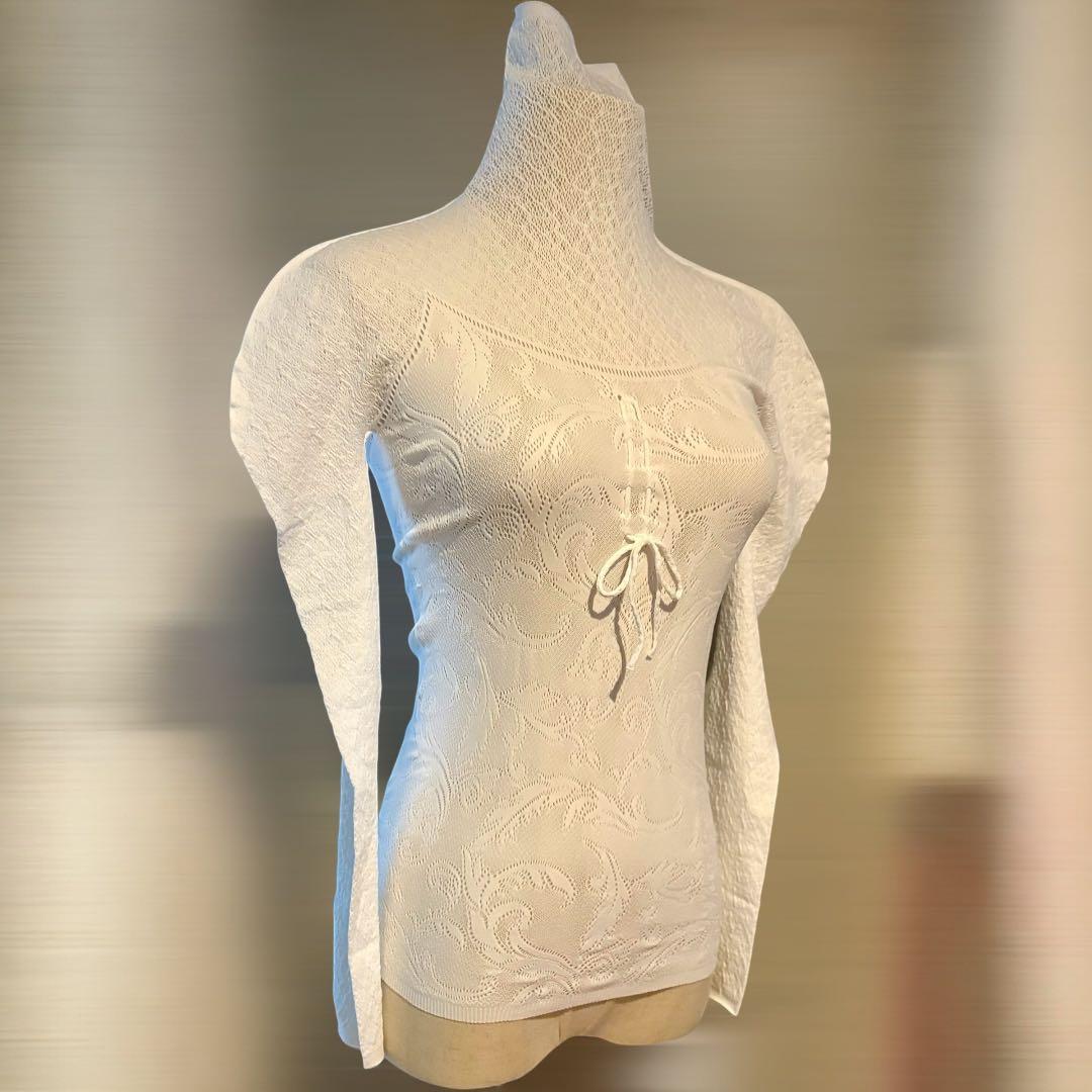 チャコット　スワンハイネックニットトップス