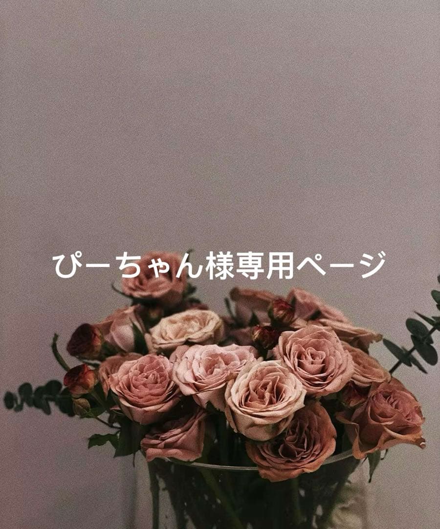 ぴーちゃんページ