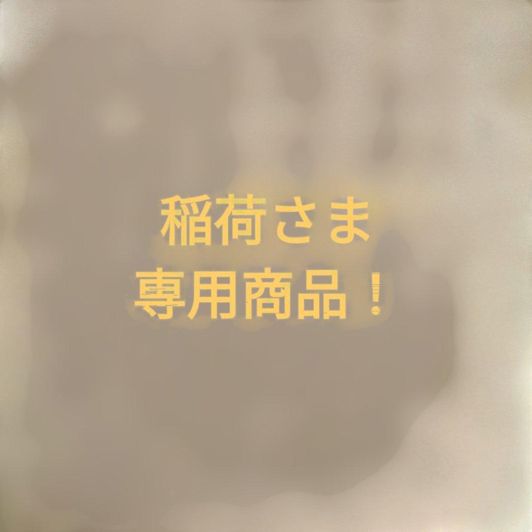 稲荷さま専用！ZUMAスノーボード160cm ビンディング付き スワロー スノーボードビンディング ZUMA ツマ ZMビンディング