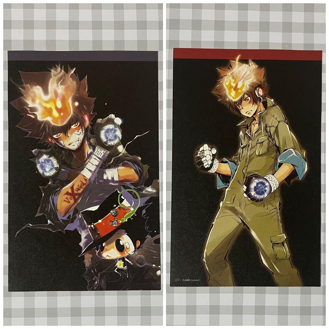 家庭教師ヒットマンREBORN 両面切り抜き ハイパーツナ 沢田綱吉