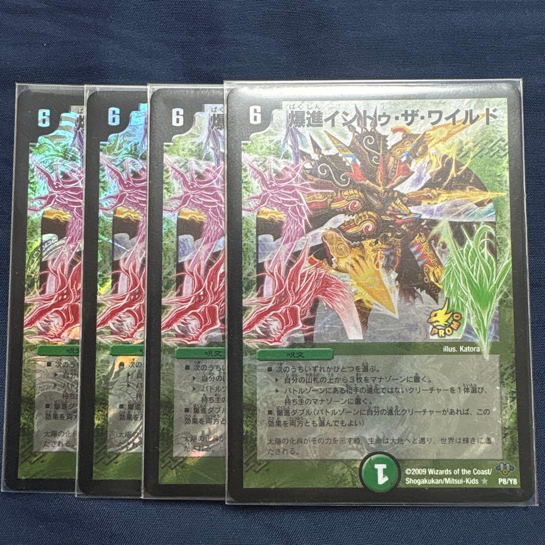 爆進イントゥザワイルド　プロモ　４枚