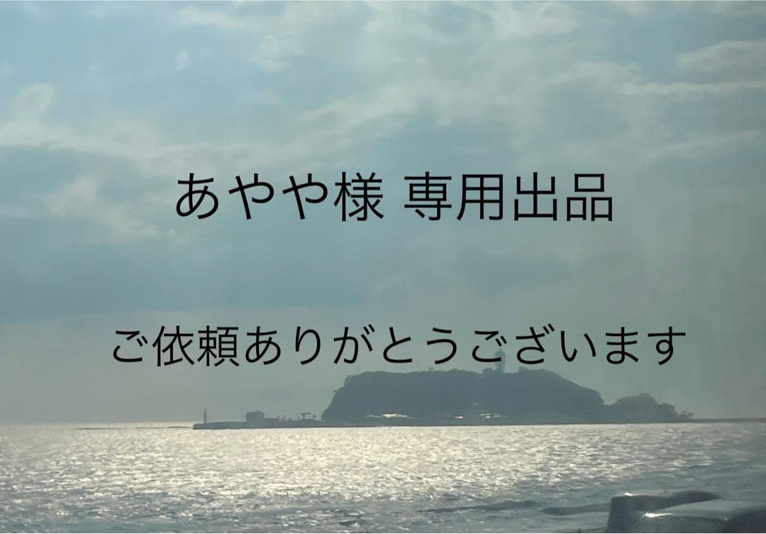 あやや出品　のびねこ　確認用ページ