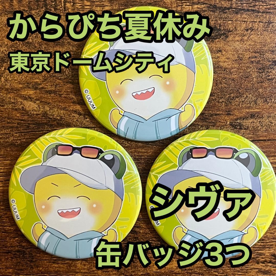 カラフルピーチ シヴァ からぴち夏休み 東京ドームシティ 缶バッジ3つ