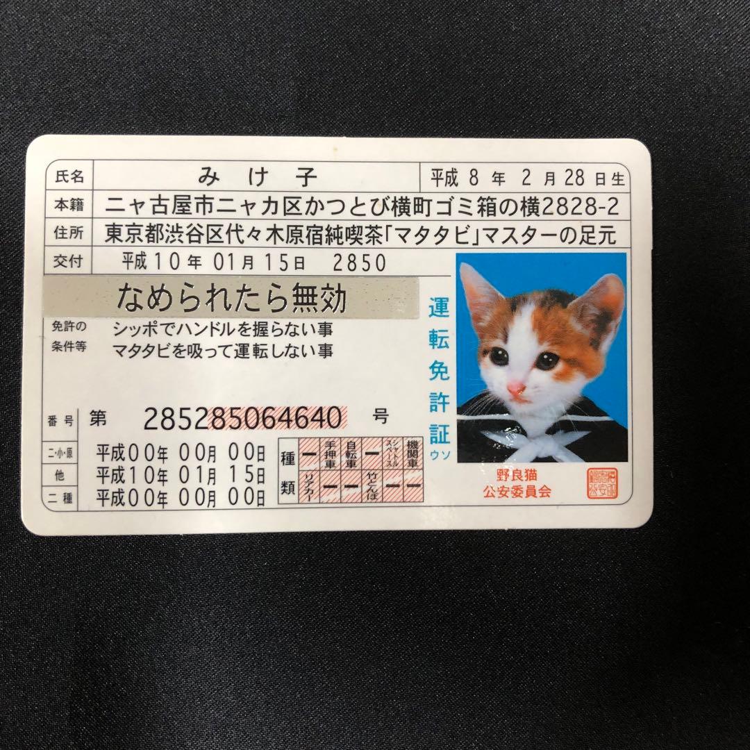 希少】なめ猫 みけ子 シルバー免許証 - メルカリ
