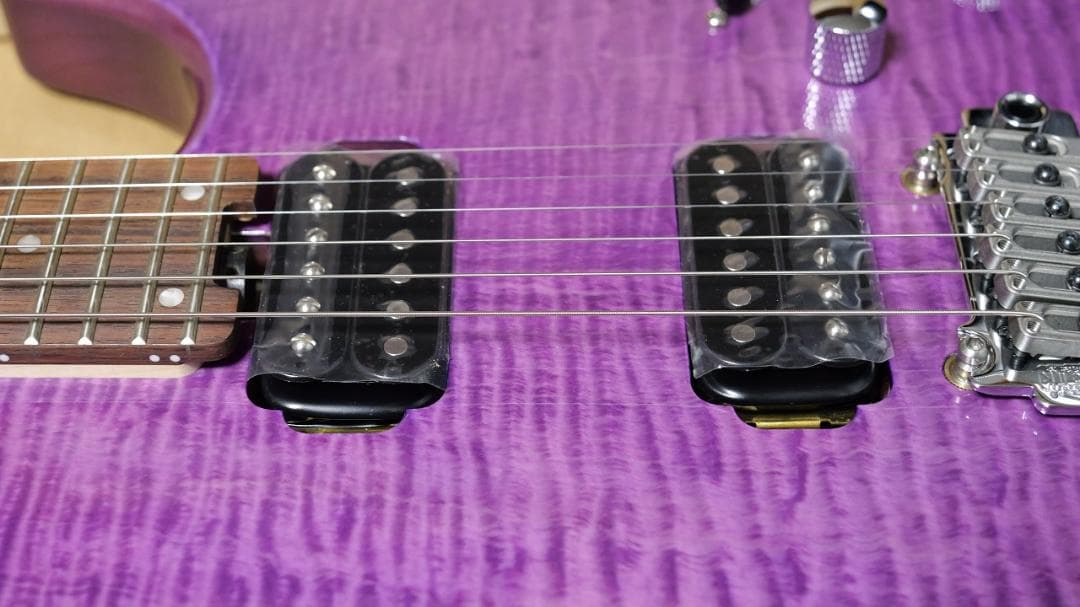 FERNANDES / NTG-LTD ’24 STP ガルクラ ヒナモデル