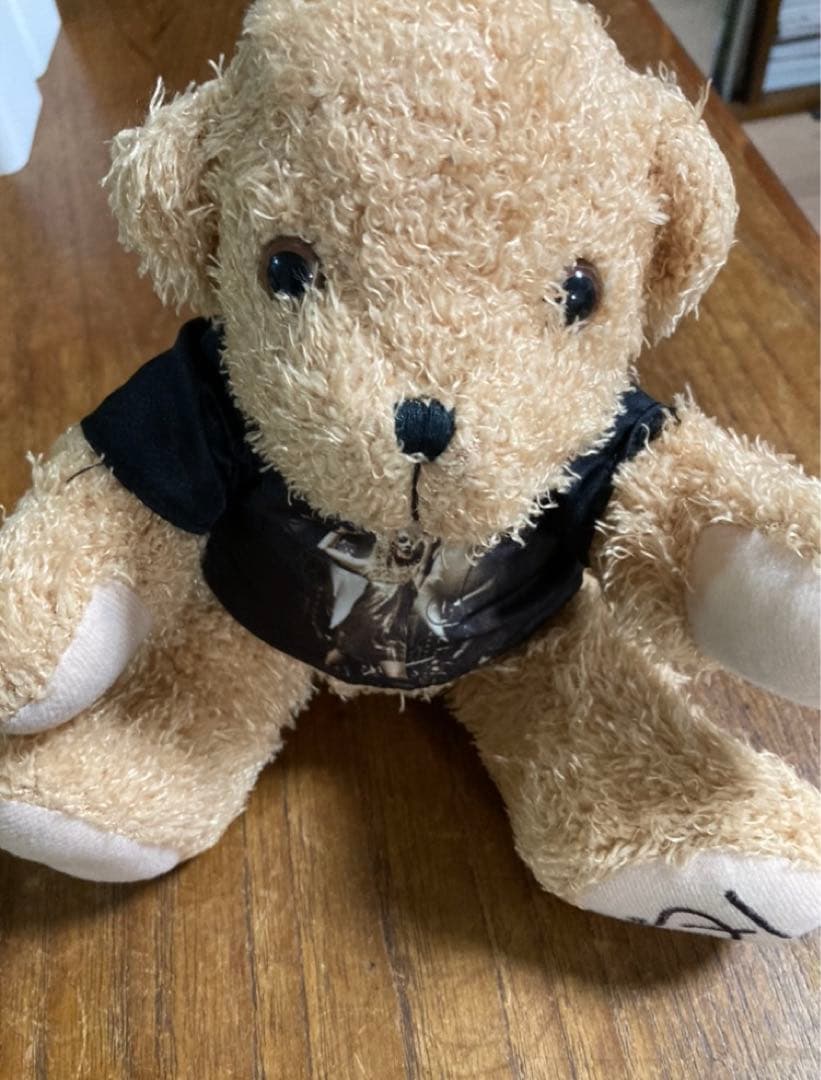 ウ*読様 【激レア】テイラースウィフト fearless teddy bear