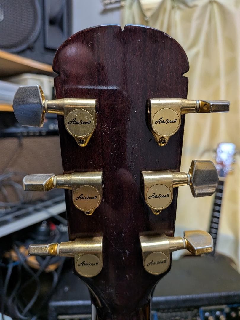 オンリーワン！Sandpiper ローレンス 2系統出力アンプ・生音動画