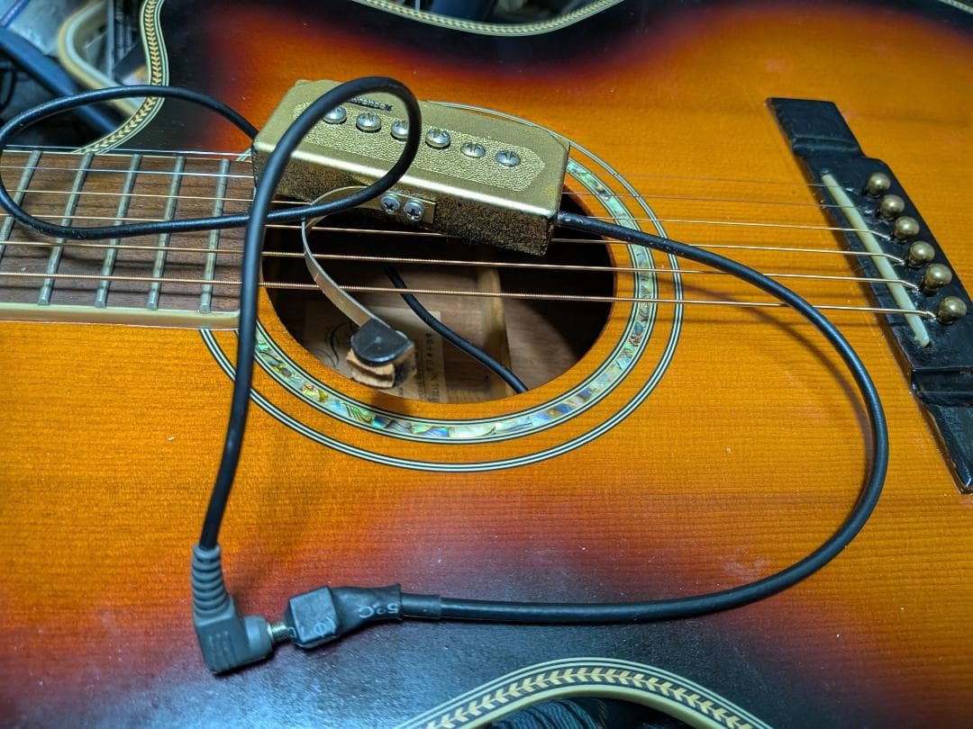 オンリーワン！Sandpiper ローレンス 2系統出力アンプ・生音動画