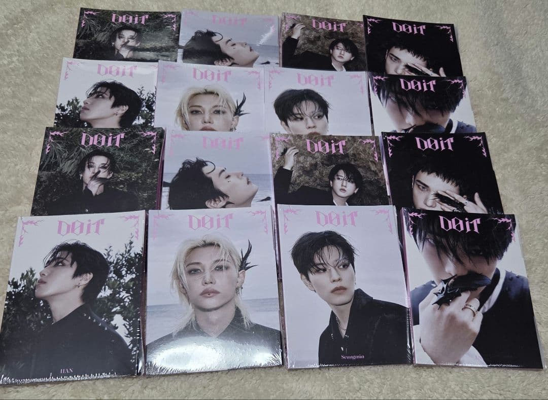 Straykids スキズ accordion アコーディオン do it