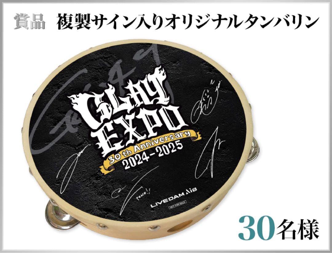 GLAY オリジナルタンバリン　GLAYEXPO 30htAnniversary GLAY 30th Anniversary GLAY EXPO 2024-2025 GRAND FINALE (BD