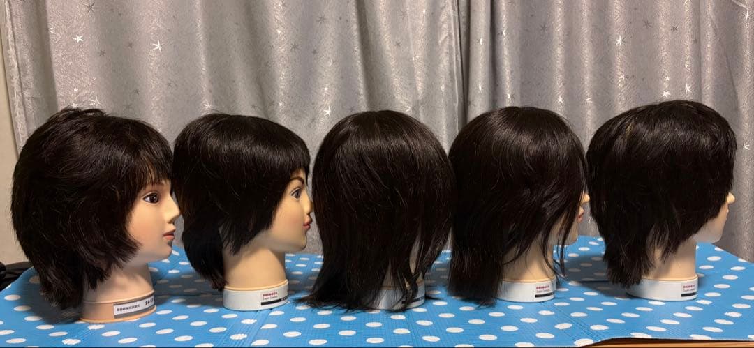 カット済み ウィッグ 国家試験用 - メルカリ
