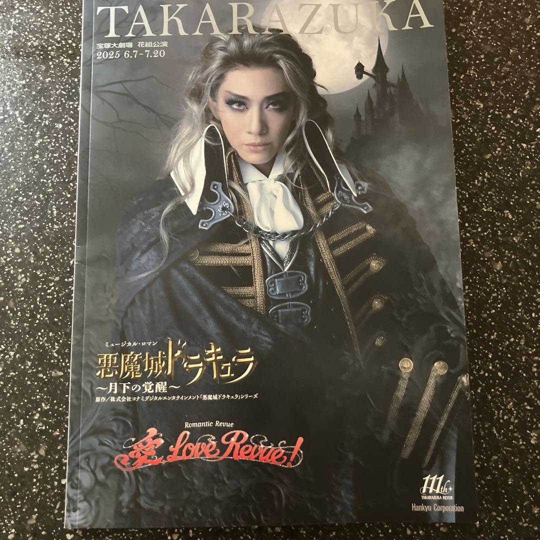 悪魔城ドラキュラ パンフレット - メルカリ