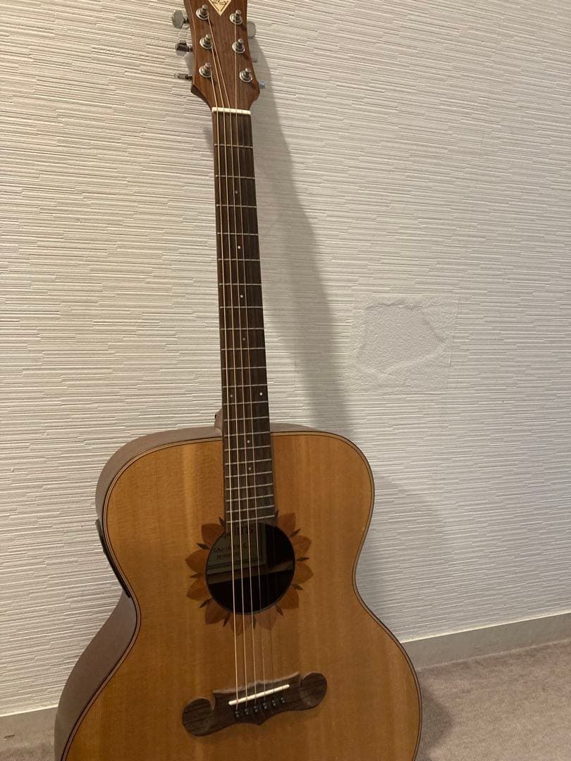 ゼマイティス　エレアコ