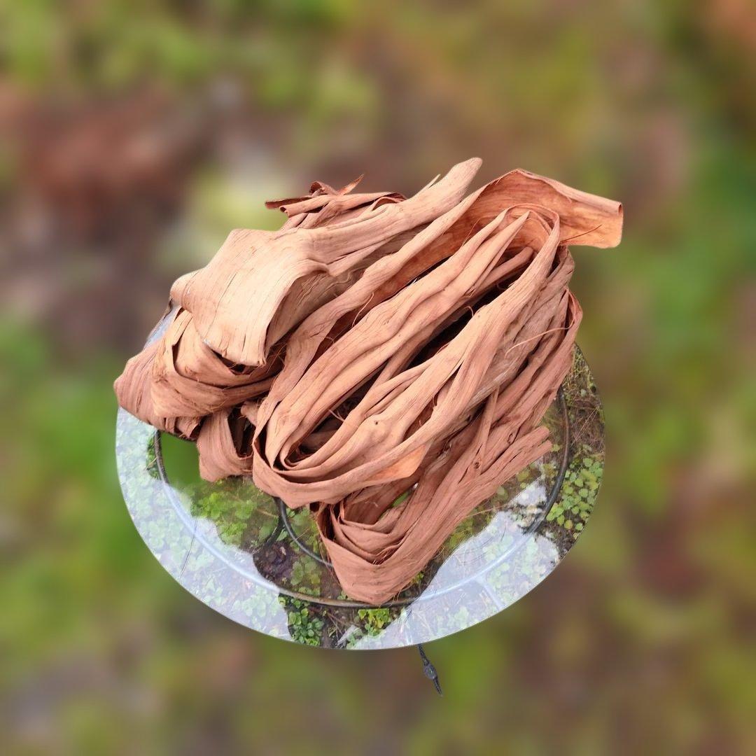 さーちゃん 青森岩木山産 山葡萄 皮 樹皮 約2kg