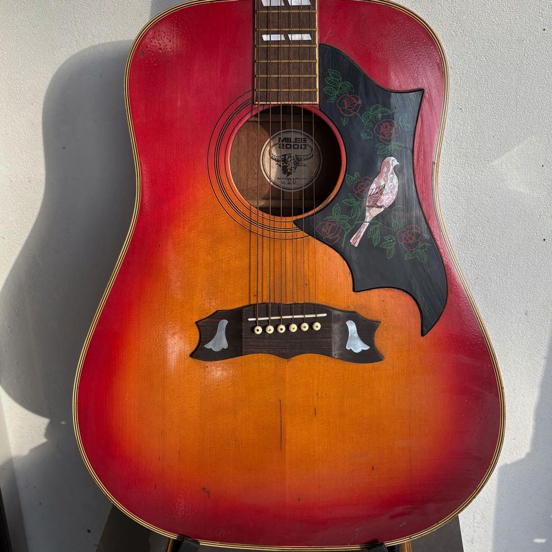 黒沢楽器&長野楽器 DOVEモデル(送料込)