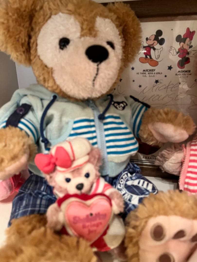 ダッフィー&シェリーメイ ぬいぐるみセット - メルカリ