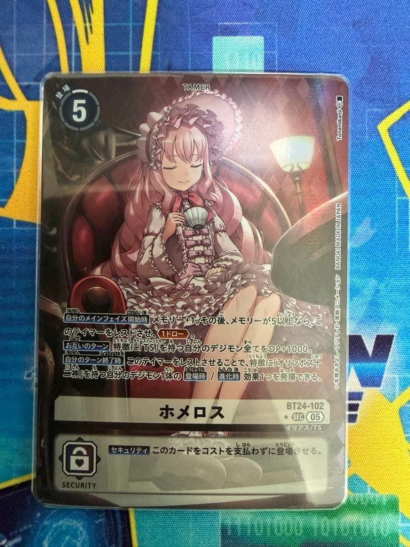 BT24-102 ホメロス　パラレル