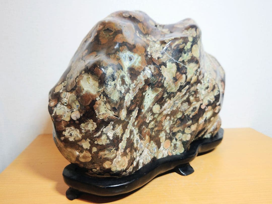 梅花石 22.8kg 紋石 牡丹石 菊花石 花紋石 原石 鑑賞石 自然石 水石