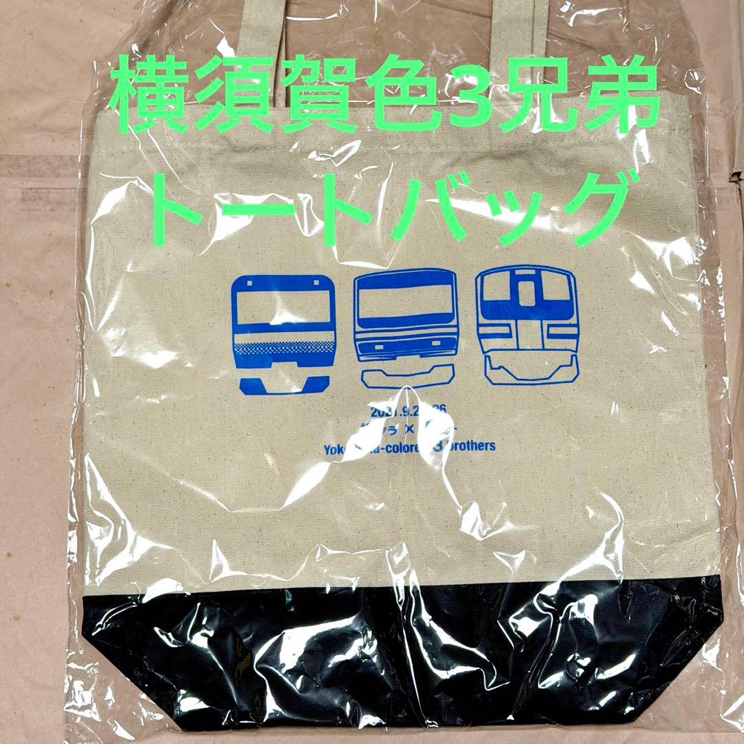 横須賀線カラートートバッグ総武線 横クラ 東マト E217系E231系E235系 総武快速・横須賀線E217系「短命26歳」一線を去るワケ | なるほど電車