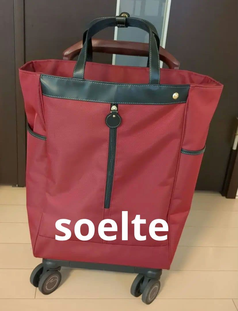 ソエルテ　アルディート　キャリーバッグ　20Ｌ　ショッピング カート キャリー Ace（エース） ACE soelte ソエルテ アルディート 20リットルキャリー