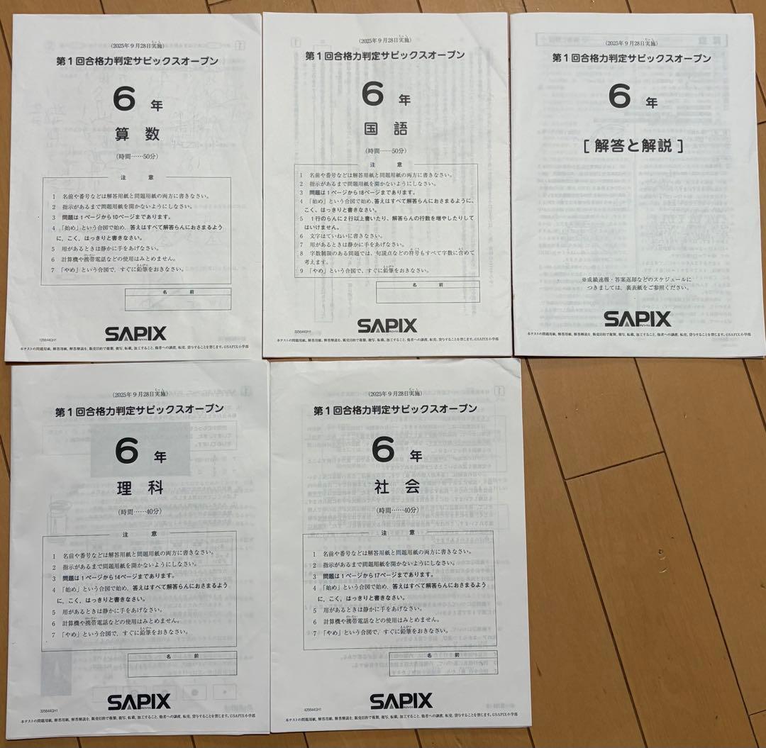 桜咲き様 リクエスト 2点 まとめ商品 - メルカリ