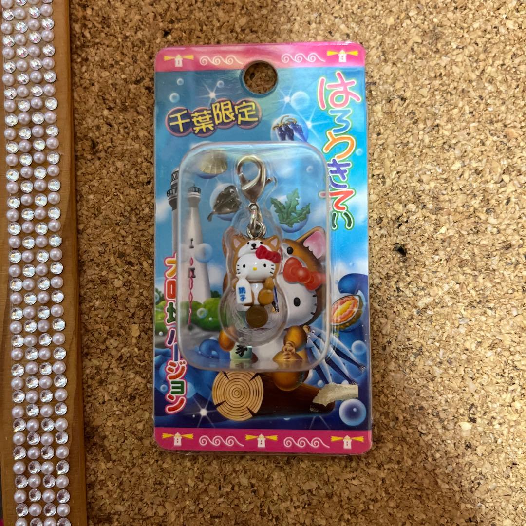 レア ご当地キティ ハローキティ ファスナーマスコット NASPA ナスパ