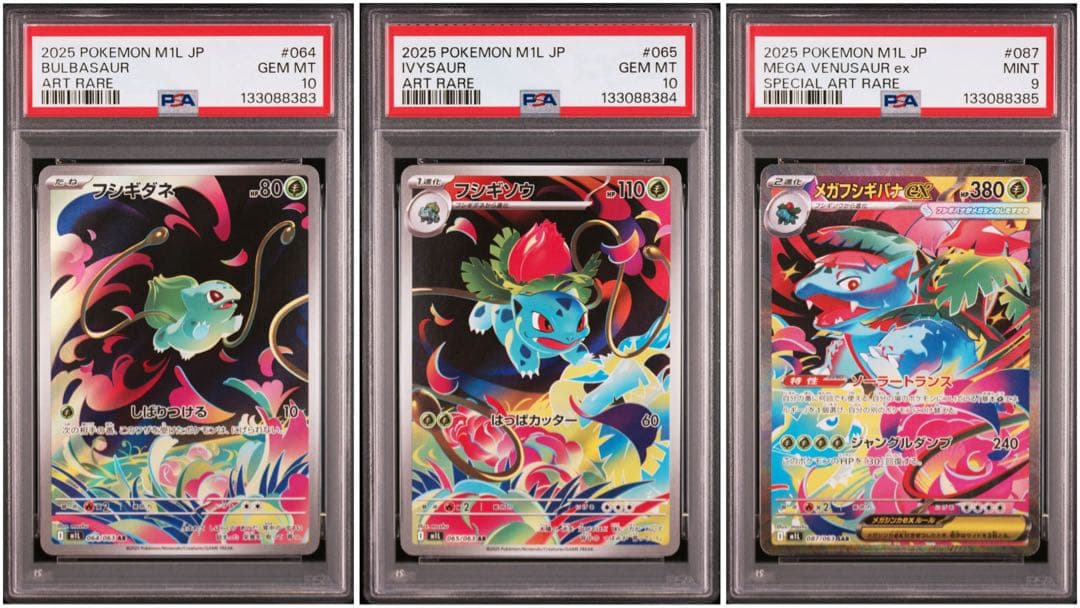 【PSA 連番】フシギダネAR フシギソウAR メガフシギバナex SAR