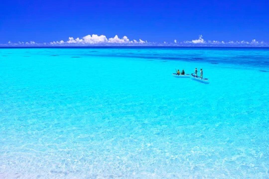 コロコロコミック