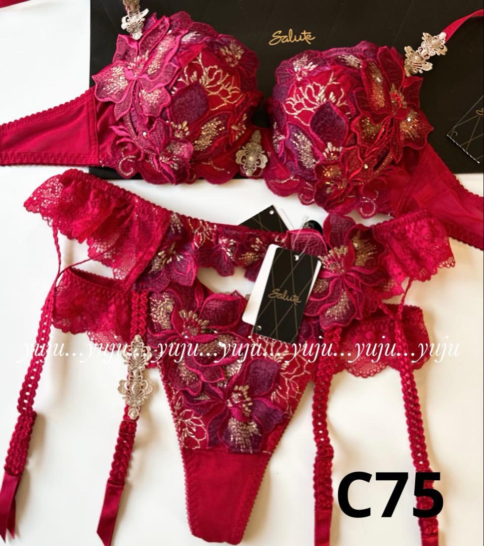 サルート 29グループ ガレ 店舗限定 新品タグ付P-upブラソング C75