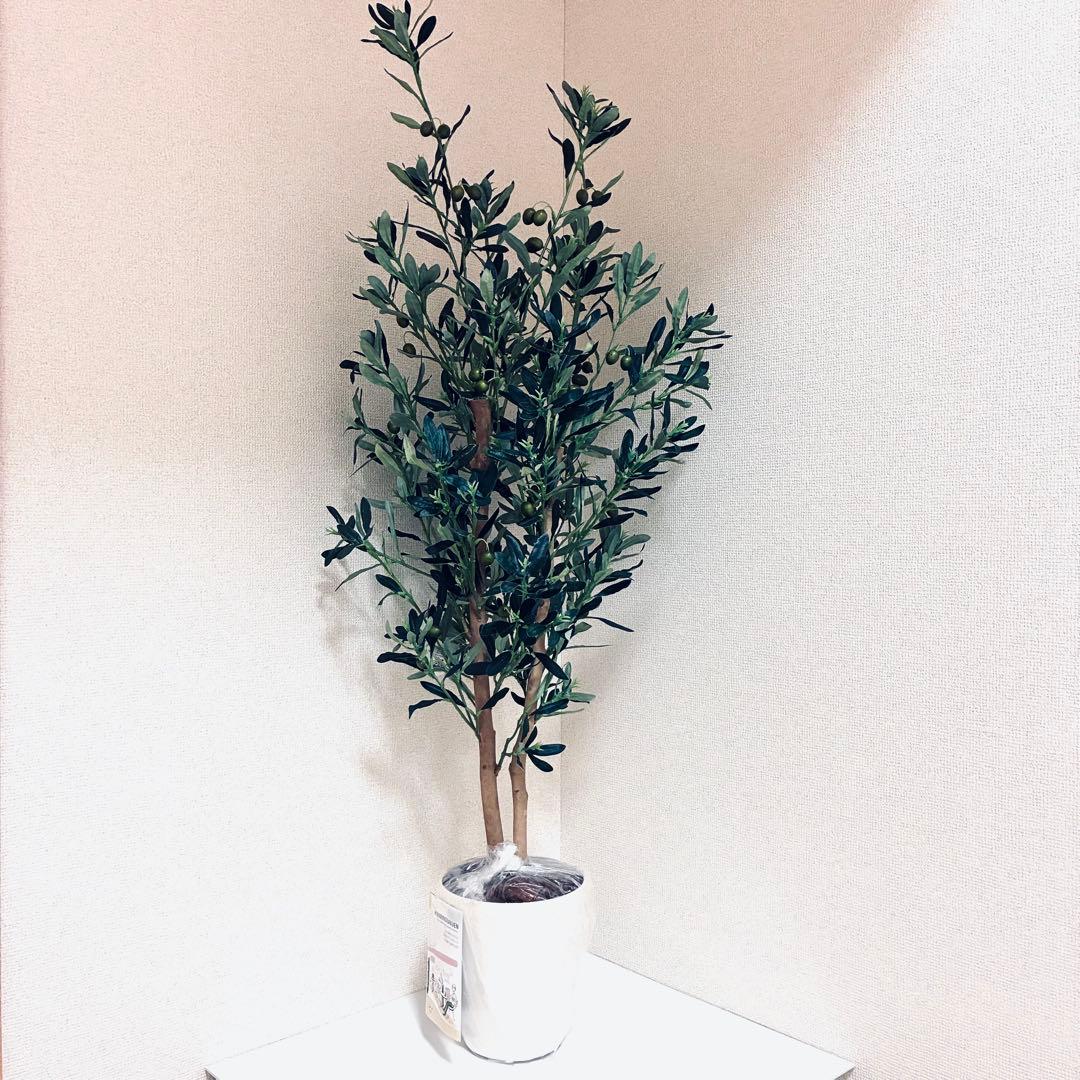 フェイクグリーン　オリーブ　人工観葉植物　光の楽園