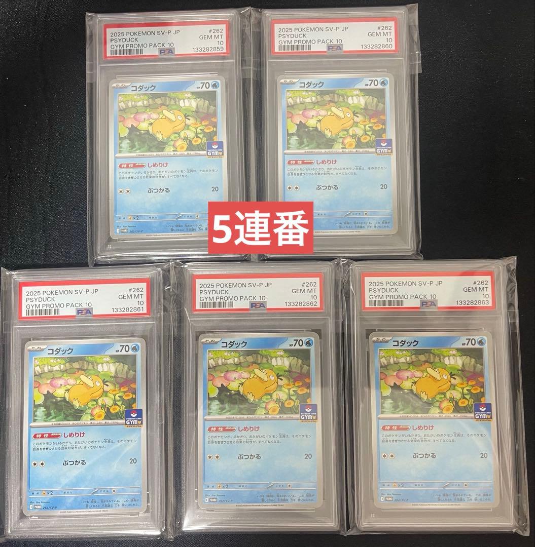 【PSA10】5連番　コダック ジムプロモ しめりけ 262/SV-P