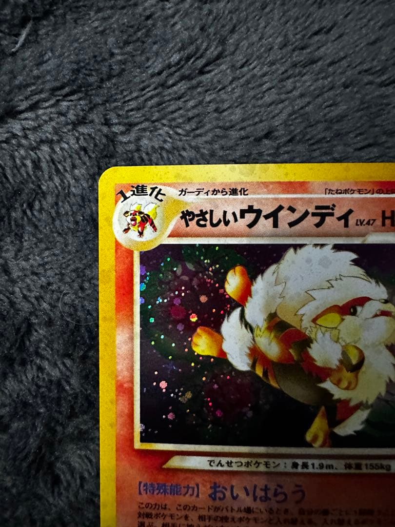 美品　やさしいウインディ ★ 拡張パック第4弾 闇、そして光へ…