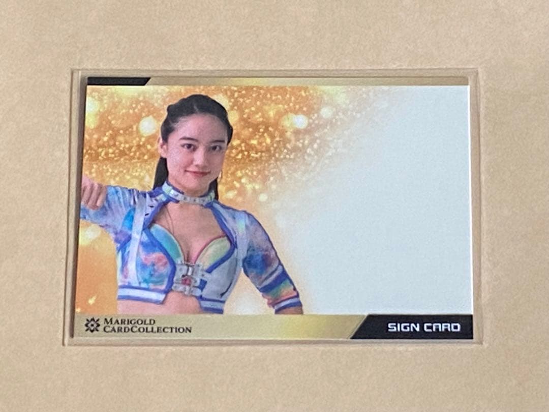 山田奈保 マリーゴールド エラーカード 直筆サイン無しカード MARIGOLD 山田奈保 山田奈保 マリーゴールド エラーカード 直筆サイン無し