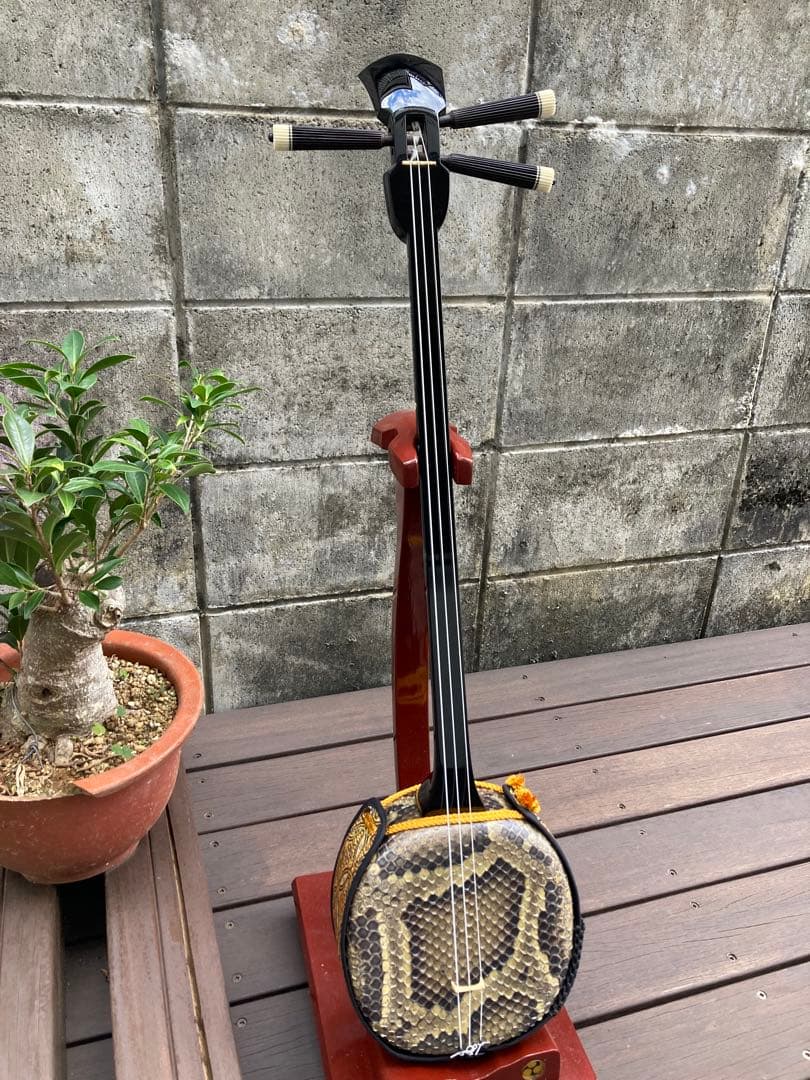 沖縄三線　真壁