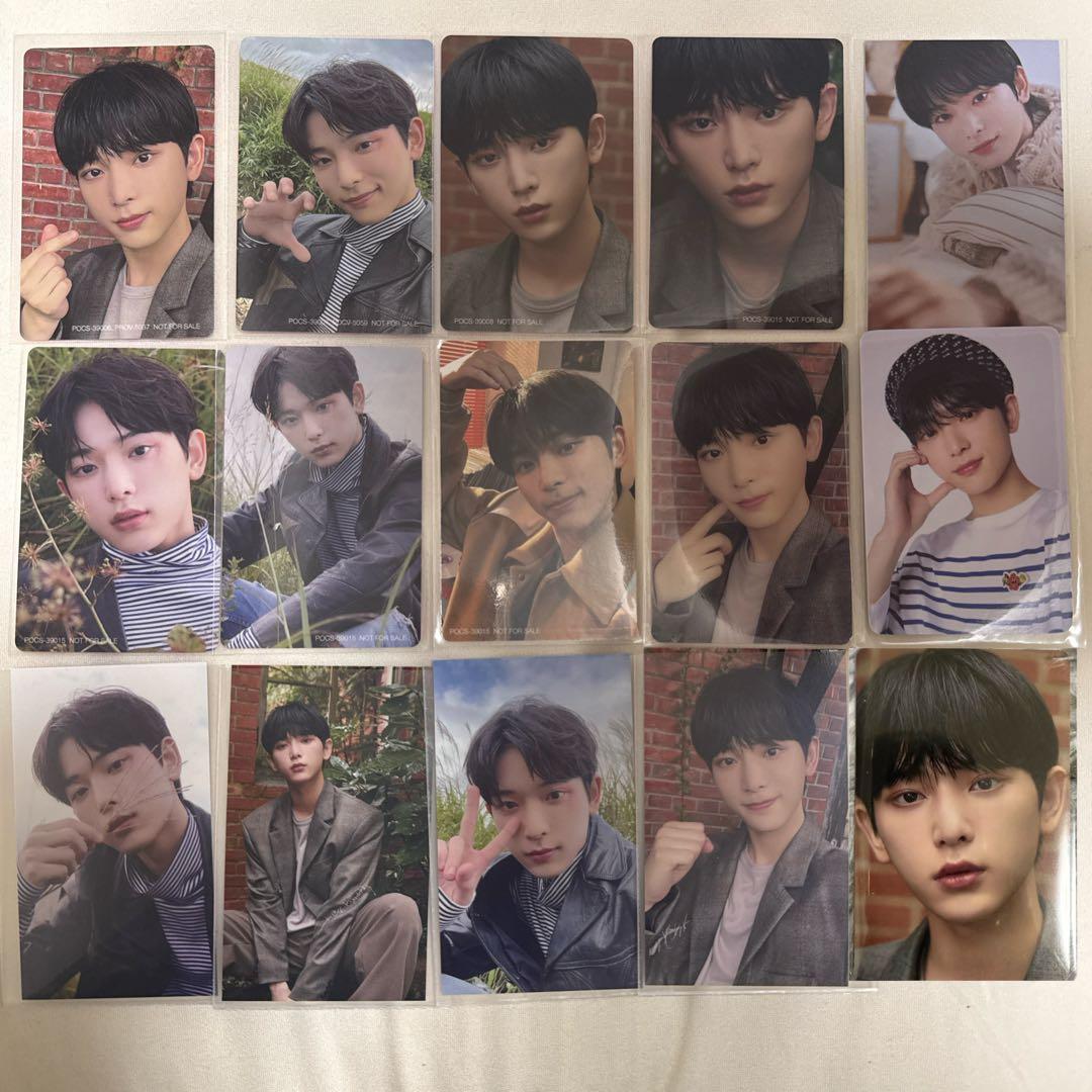 &TEAM HARUA ハルア トレカ まとめ売り me レア品あり - メルカリ