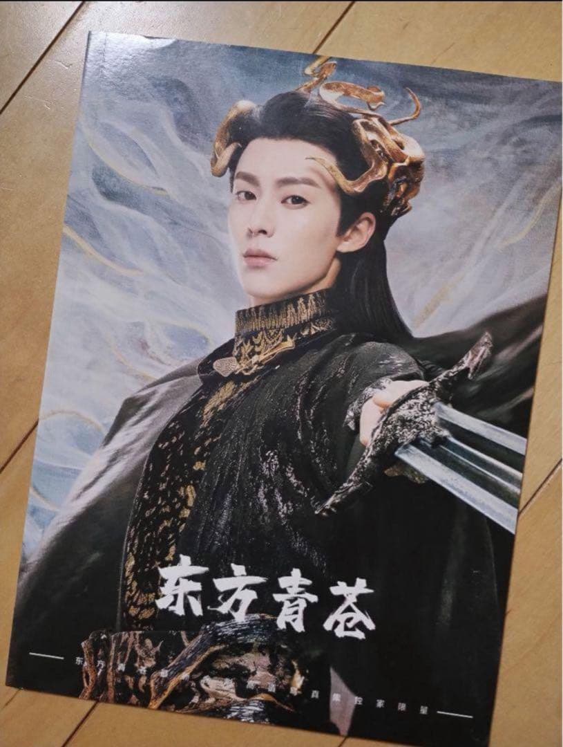 蒼蘭訣 東方青蒼写真集 王鶴棣個人写真集 ワンホーディー写真集64pA4