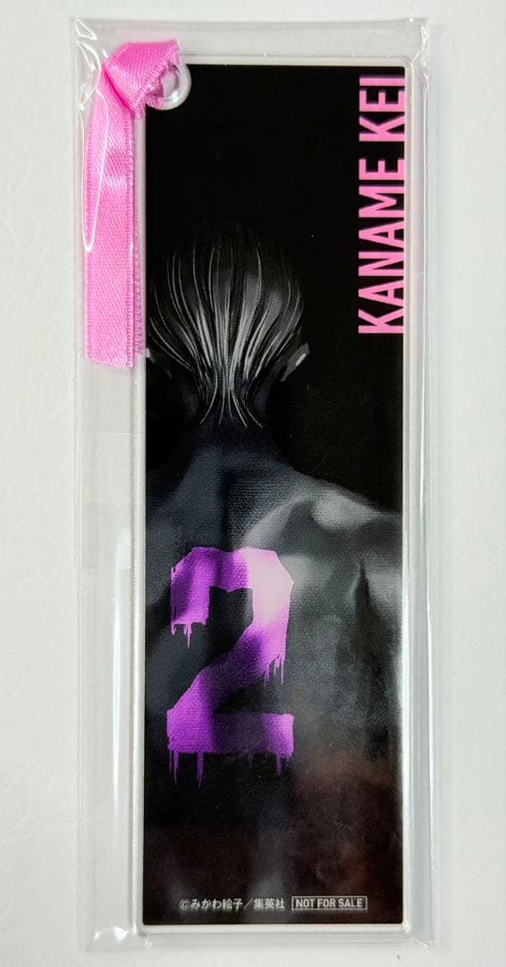 100名限定 当選品 忘却バッテリー 22巻 アクリルしおり 要圭 忘却バッテリー』 アクリルキーホルダー 要 圭: アクセサリー類|集英社