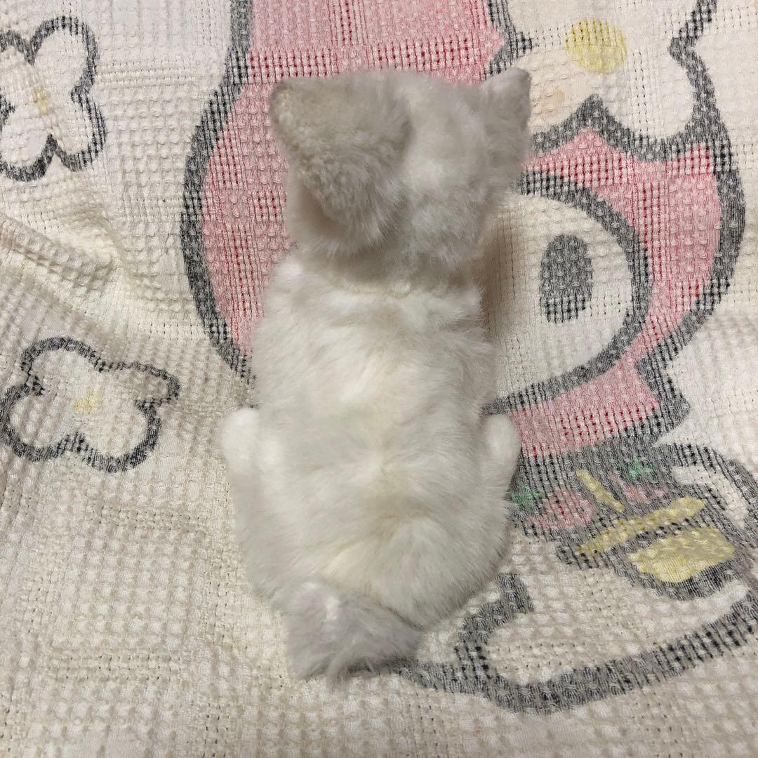 レトロ チワワ ぬいぐるみ 中古品 メーカー名不明 - メルカリ