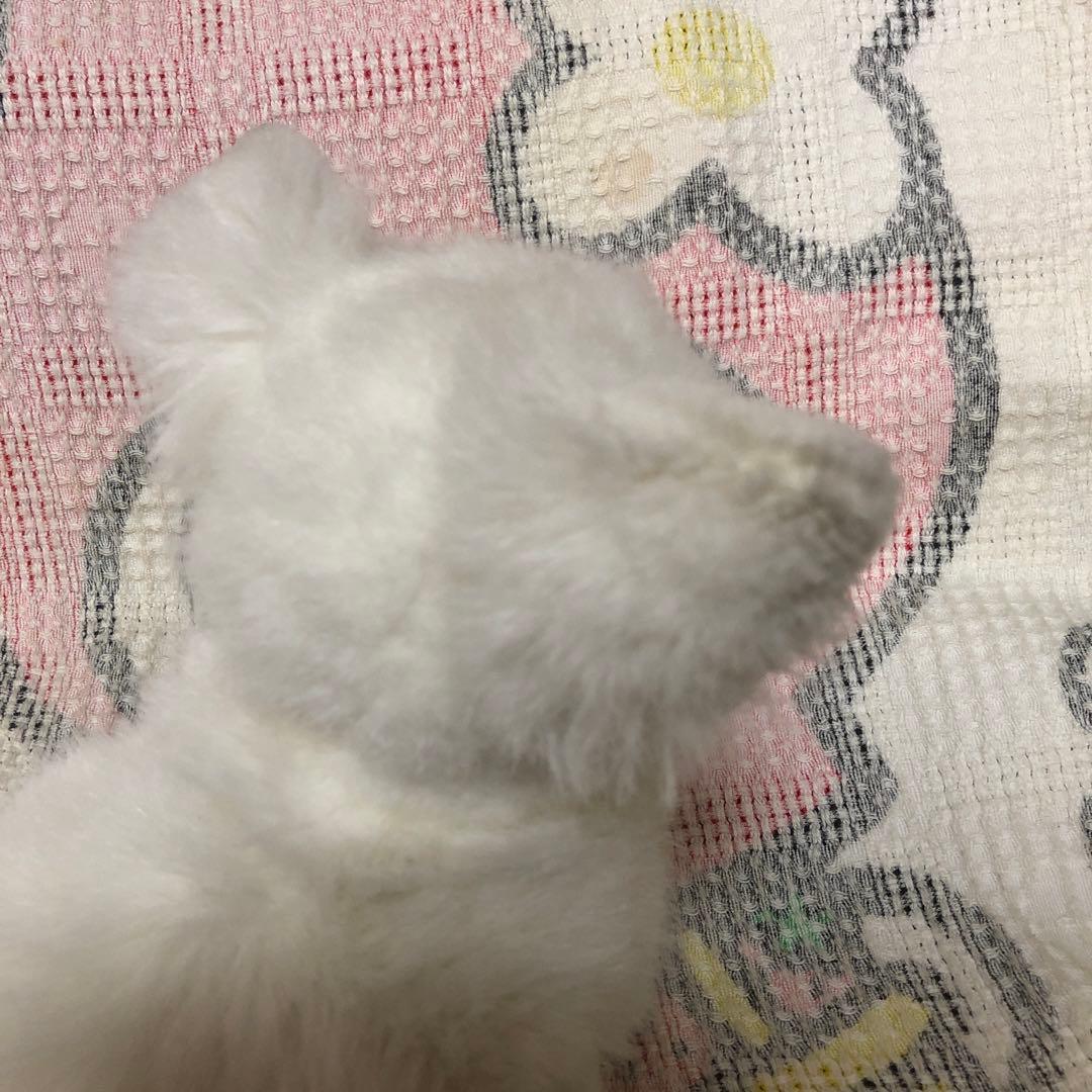 レトロ チワワ ぬいぐるみ 中古品 メーカー名不明 - メルカリ