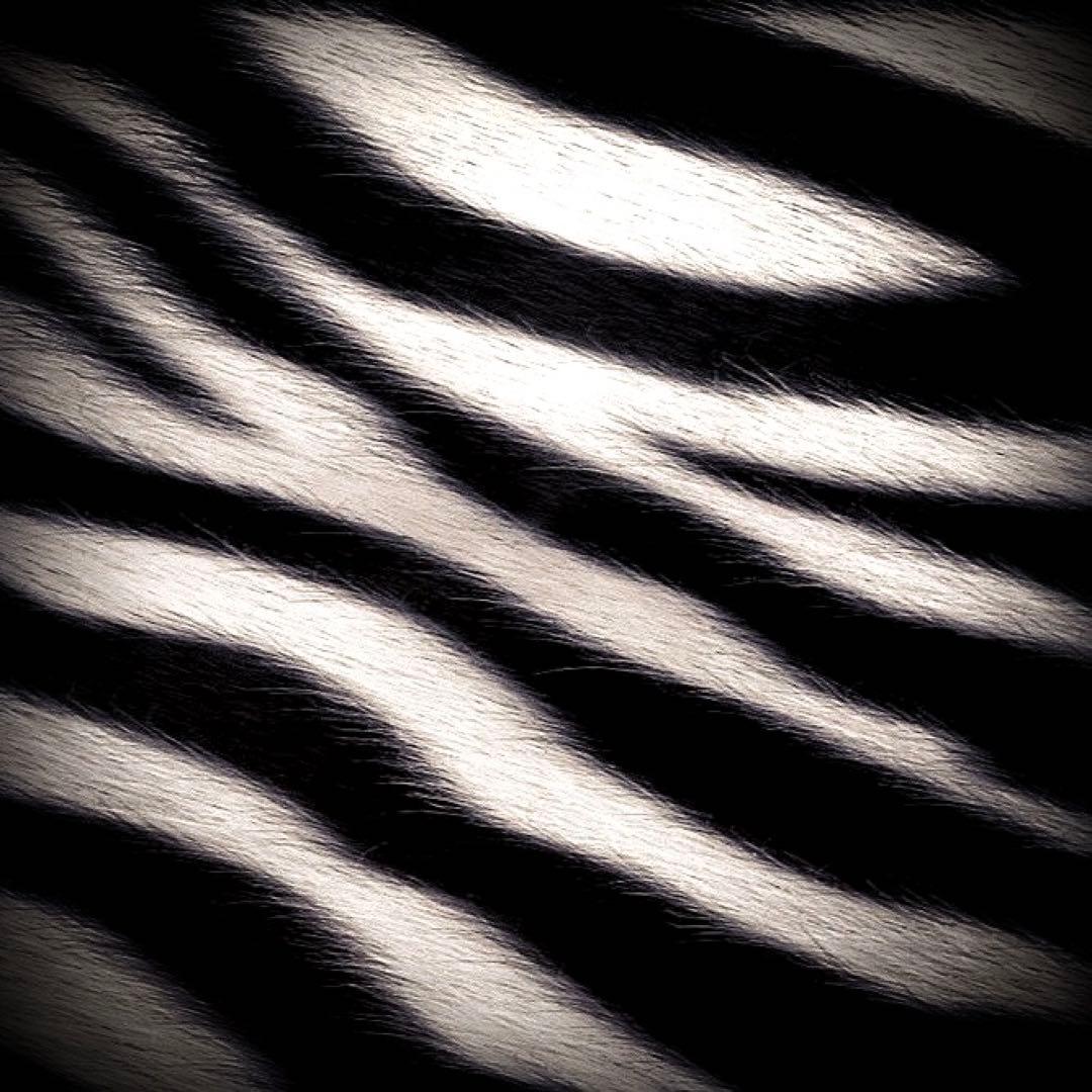 合馬公式アカウント1様 まとめ売り 合馬公式アカウントさま専用 S30・ZOOM C1まとめ売り - メルカリ