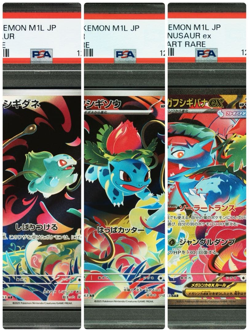 PSA10】連番 メガフシギバナex フシギソウ フシギダネ SAR AR - メルカリ