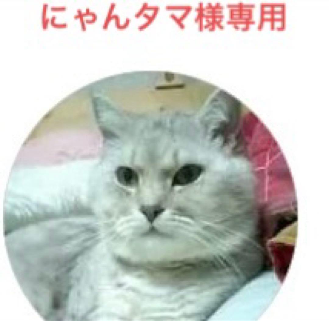 中古　FUKUSHIN フクシン にゃんタマ