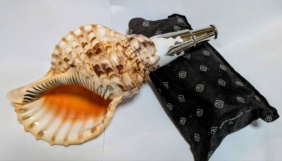 法螺貝　35.0cm 貝袋付　1037g 28000円　山伏修験
