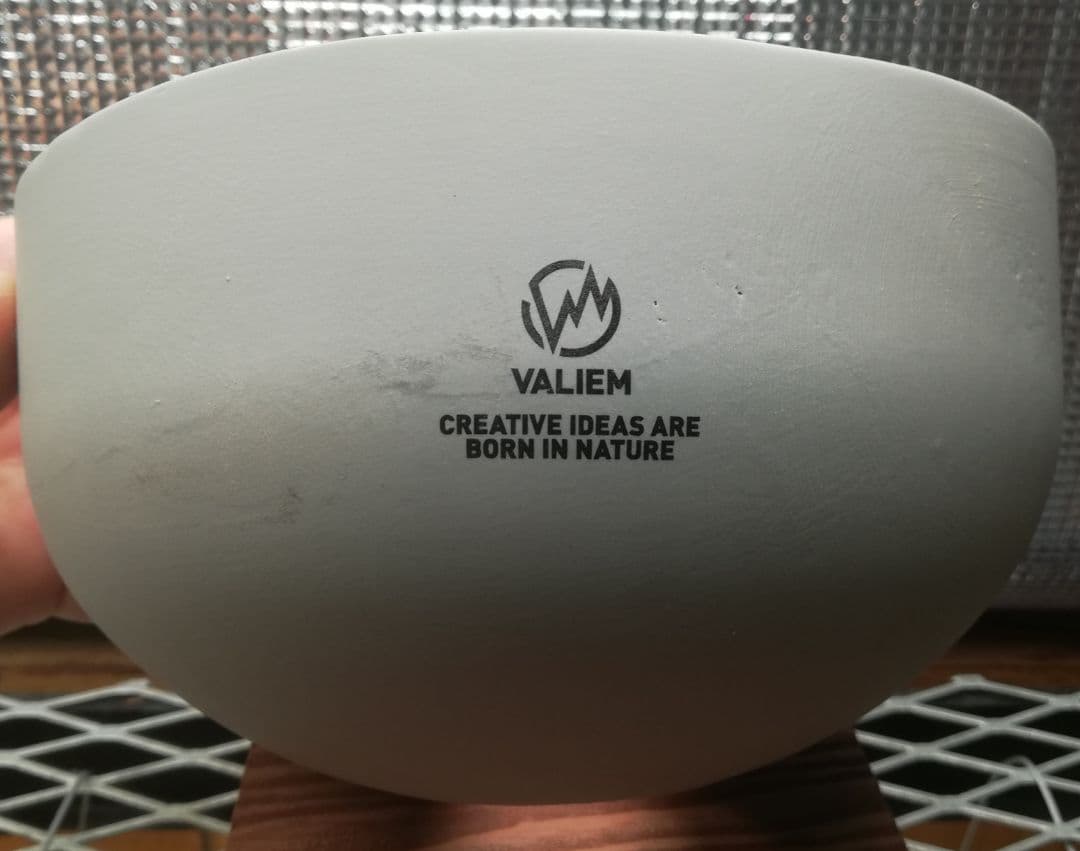 限定品VALIEM aobouzu 別注THX希少XL - メルカリ