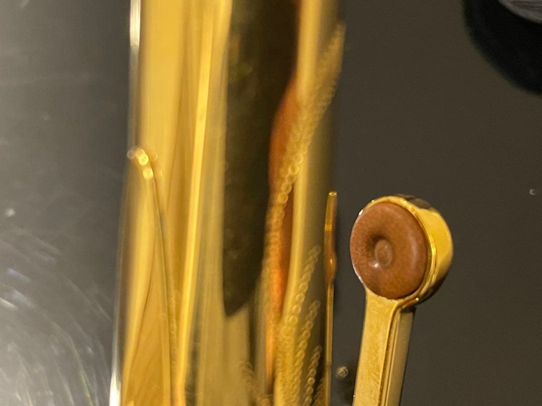 ♫レア⭐︎セルマー seriesⅡ アルトサックス GPネック 彫刻入り