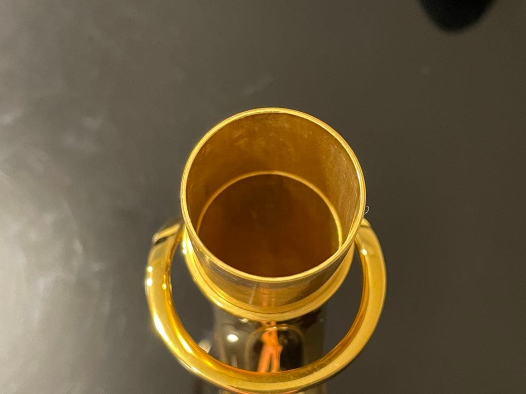 ♫レア⭐︎セルマー seriesⅡ アルトサックス GPネック 彫刻入り