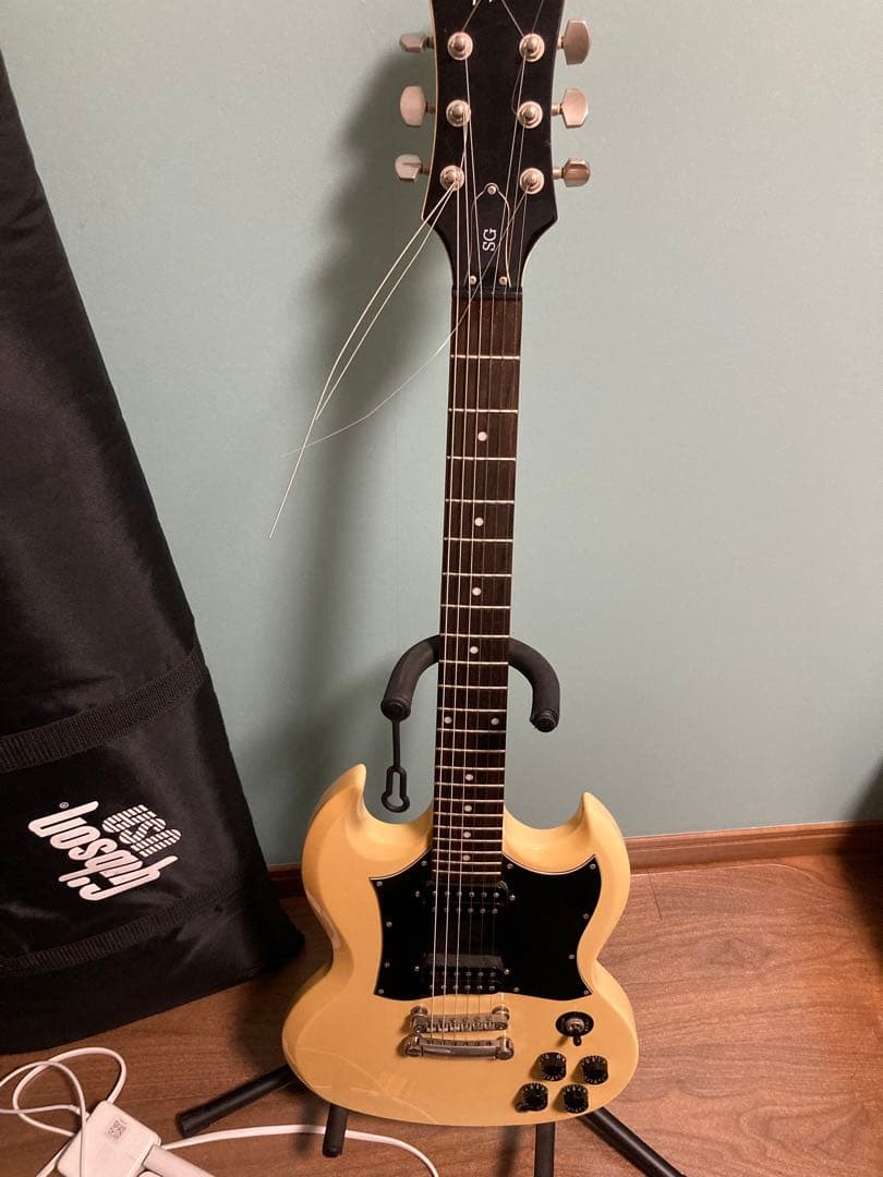 【お願い買って】Epiphone SG G-310【マジで】