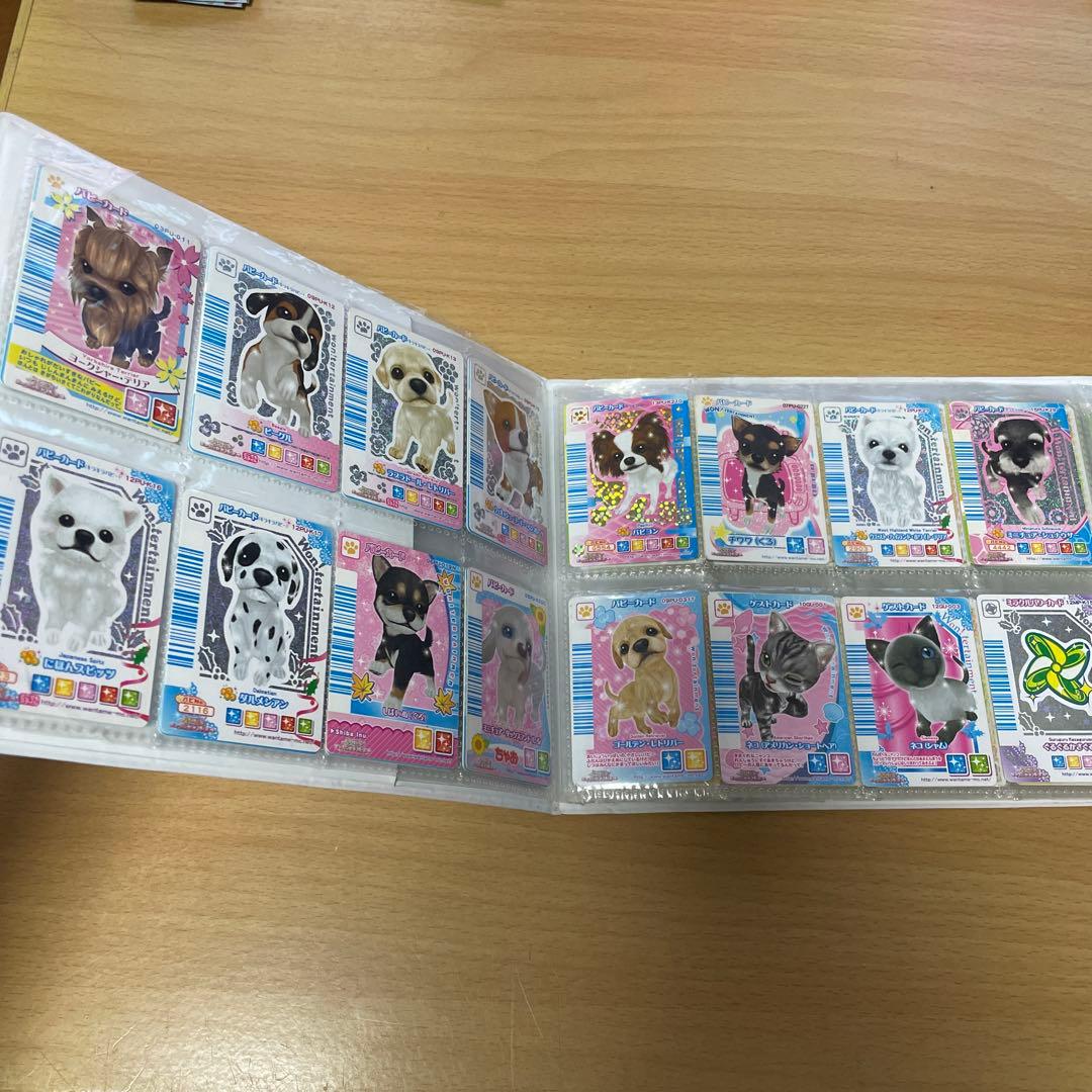 ワンタメ カード ワンタメミュージックチャンネル レア ねこ - メルカリ