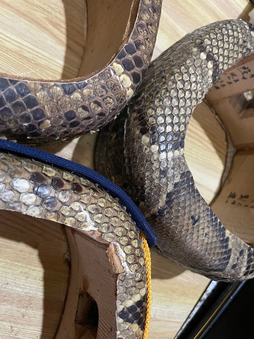 一様確認用　チーガ