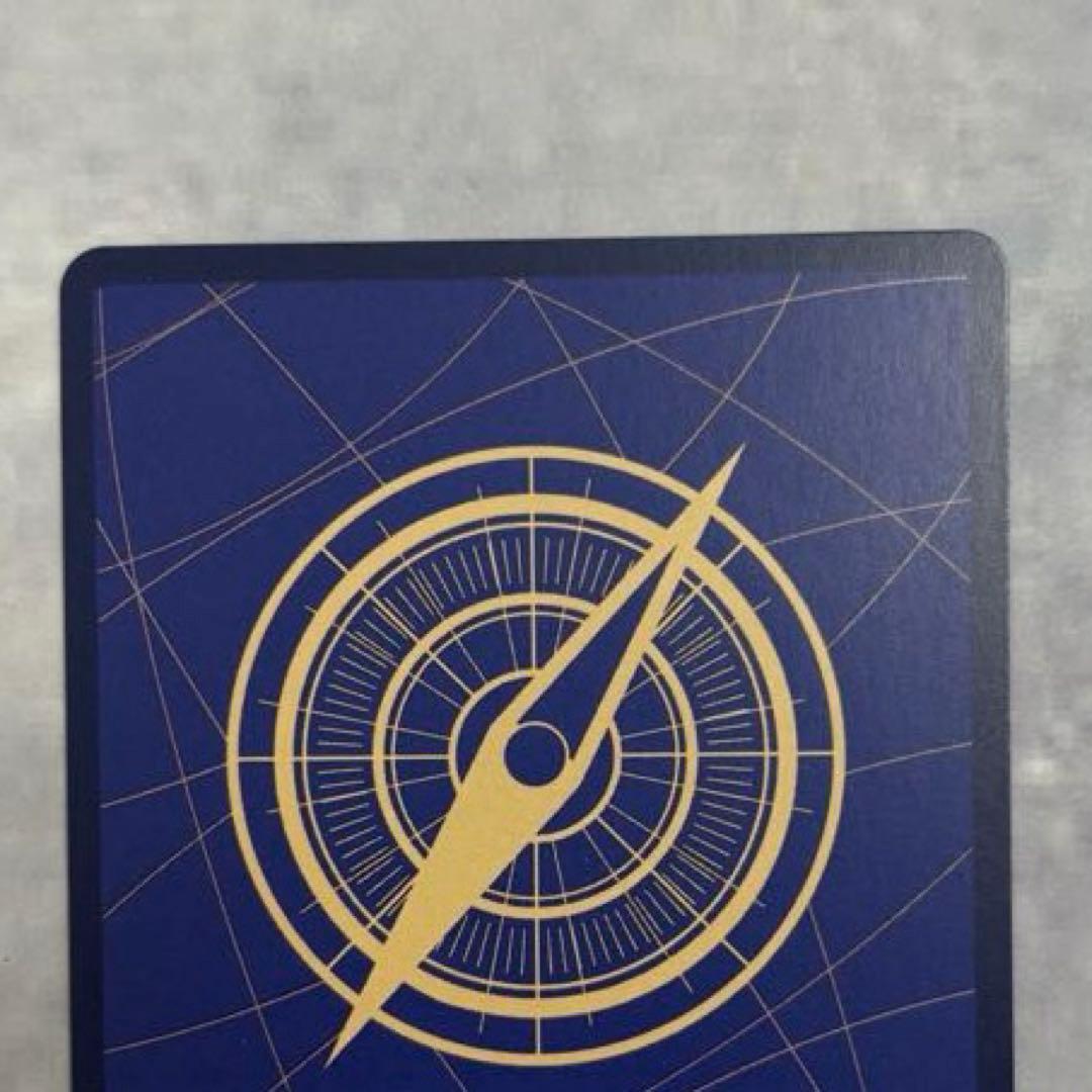 ゴール・D・ロジャー：手配書 SP OP09-118 SEC - メルカリ